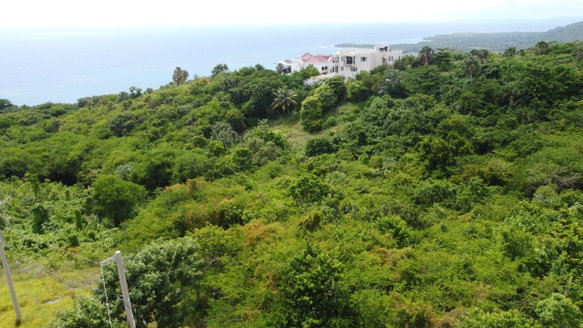 First image of Culloden, Whitehouse in White House WD, Westmoreland, Jamaica - property is For Sale