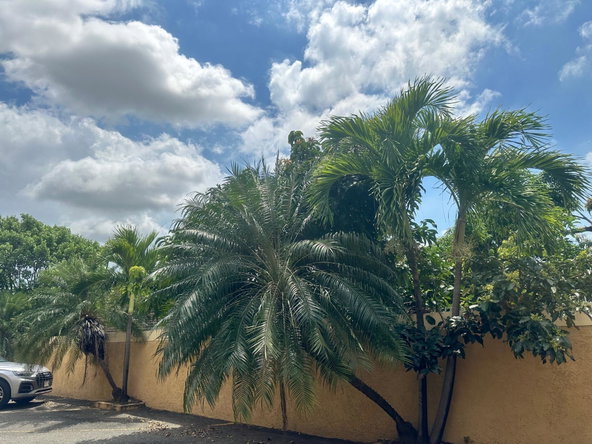 Twenty-Ninth image of 4 Acadia Drive in Kingston 8, St. Andrew, Jamaica - property is For Rent