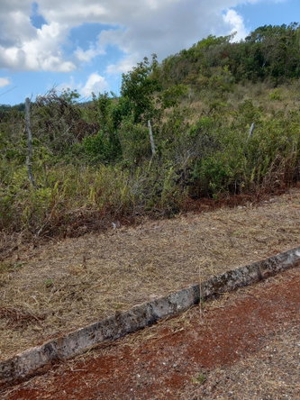 Fourth image of Lot 2 Bethel Isles, Manchester in Newport, Manchester, Jamaica - property is For Sale