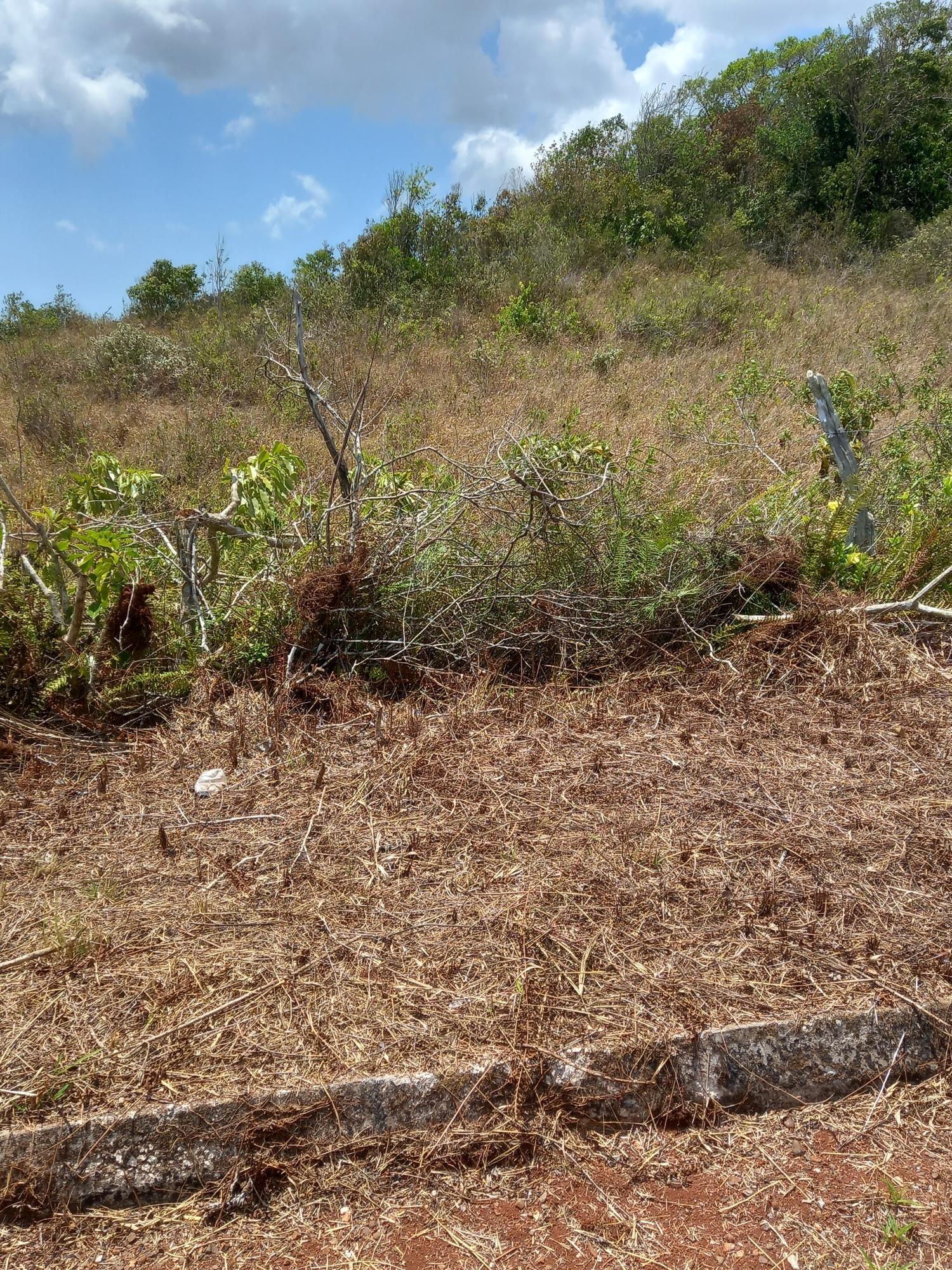 Fifth image of Lot 2 Bethel Isles, Manchester in Newport, Manchester, Jamaica - property is For Sale