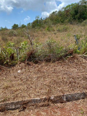 Fifth image of Lot 2 Bethel Isles, Manchester in Newport, Manchester, Jamaica - property is For Sale