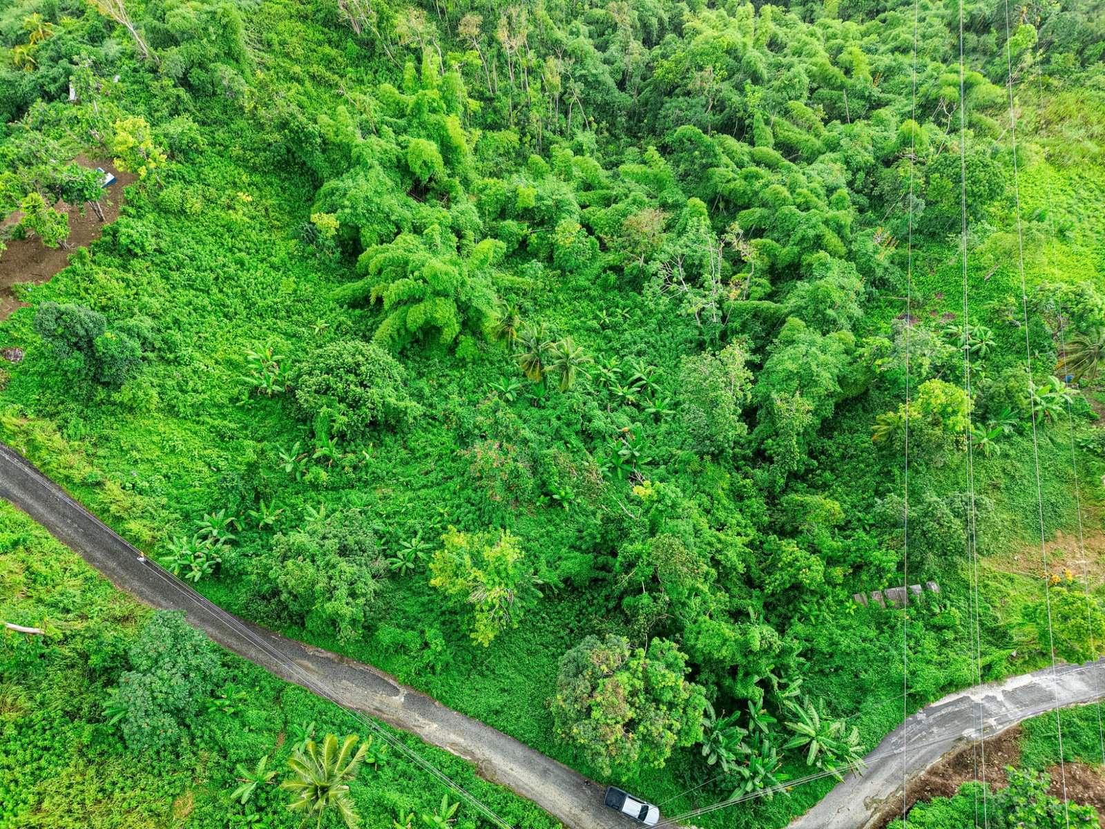 First image of Askenish Cottage in Askenish, Hanover, Jamaica - property is For Sale