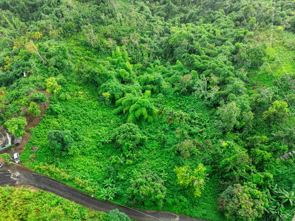 Second image of Askenish Cottage in Askenish, Hanover, Jamaica - property is For Sale