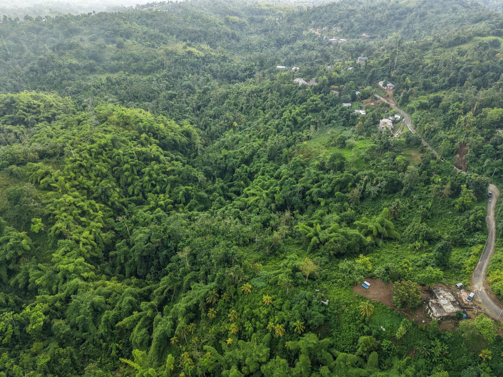 Fourth image of Askenish Cottage in Askenish, Hanover, Jamaica - property is For Sale