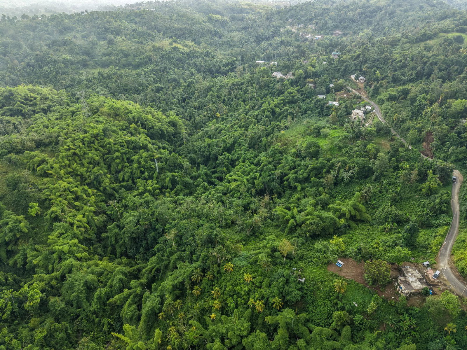 Fifth image of Askenish Cottage in Askenish, Hanover, Jamaica - property is For Sale