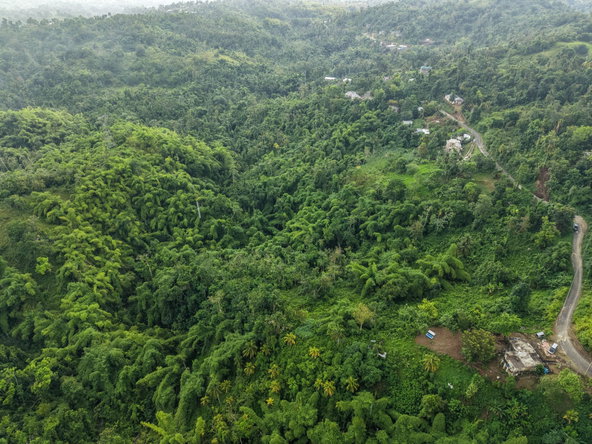 Fifth image of Askenish Cottage in Askenish, Hanover, Jamaica - property is For Sale