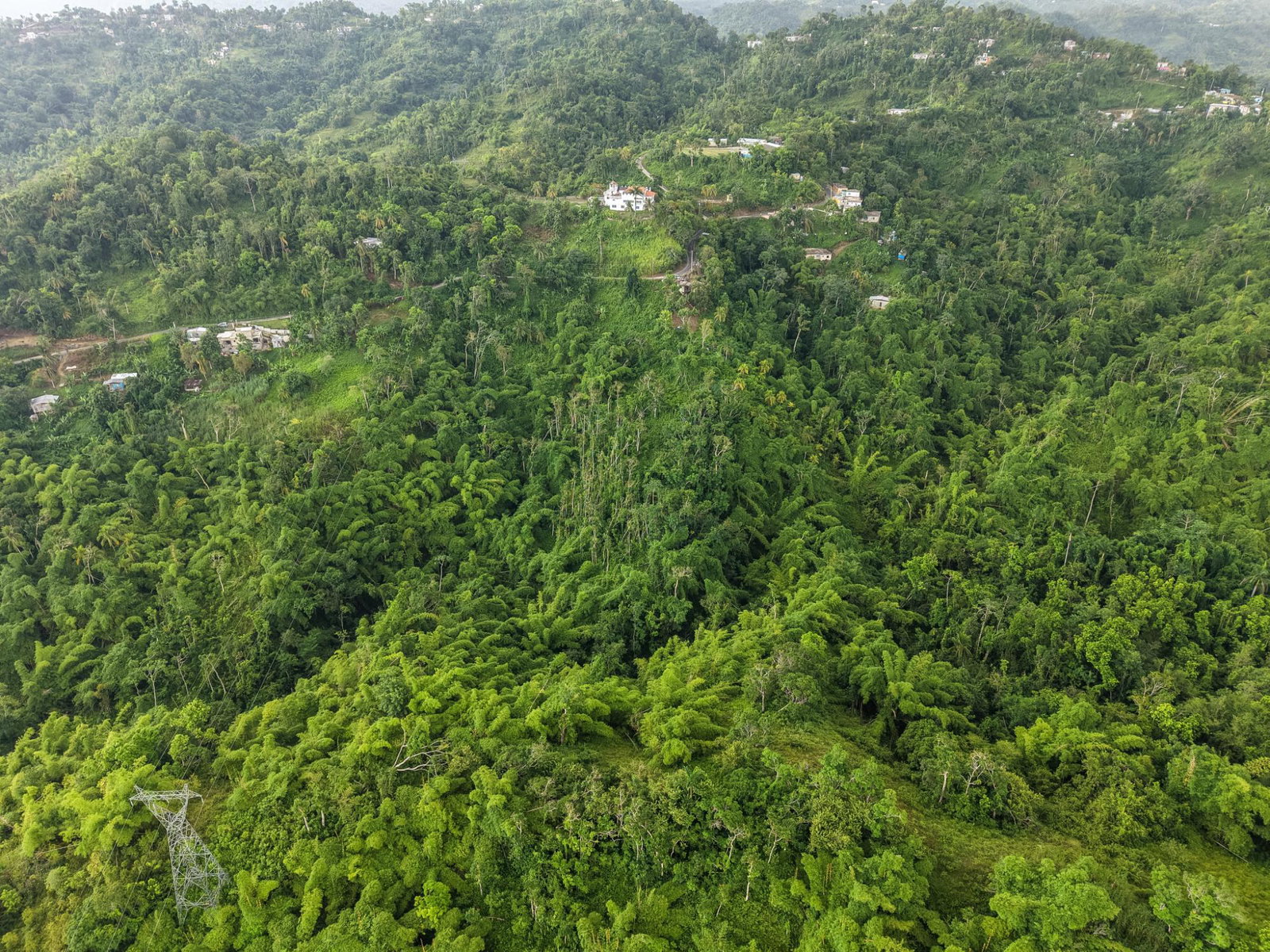 Sixth image of Askenish Cottage in Askenish, Hanover, Jamaica - property is For Sale