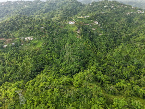 Sixth image of Askenish Cottage in Askenish, Hanover, Jamaica - property is For Sale