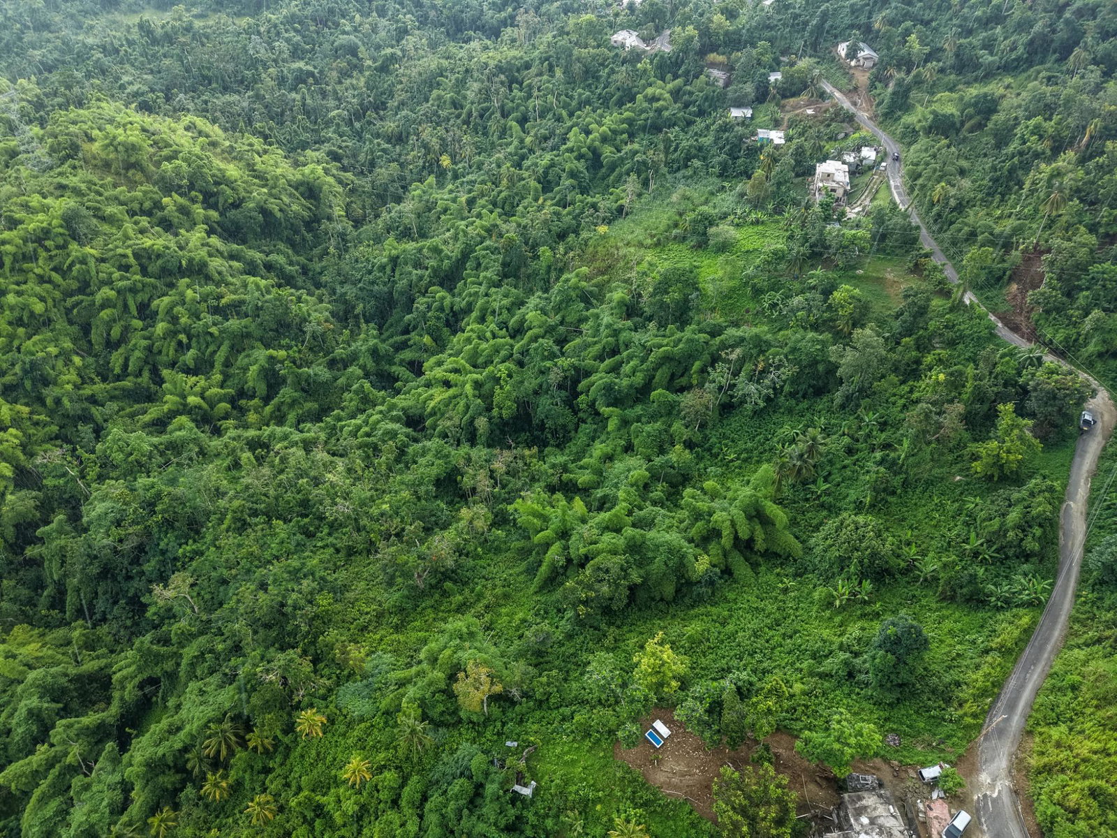 Seventh image of Askenish Cottage in Askenish, Hanover, Jamaica - property is For Sale