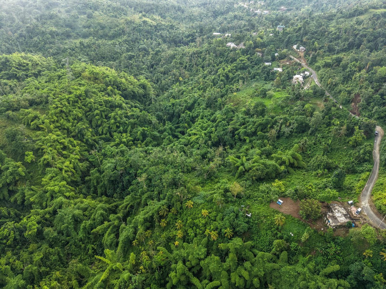 Eighth image of Askenish Cottage in Askenish, Hanover, Jamaica - property is For Sale
