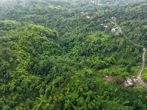 Eighth image of Askenish Cottage in Askenish, Hanover, Jamaica - property is For Sale