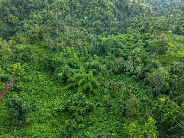 Ninth image of Askenish Cottage in Askenish, Hanover, Jamaica - property is For Sale
