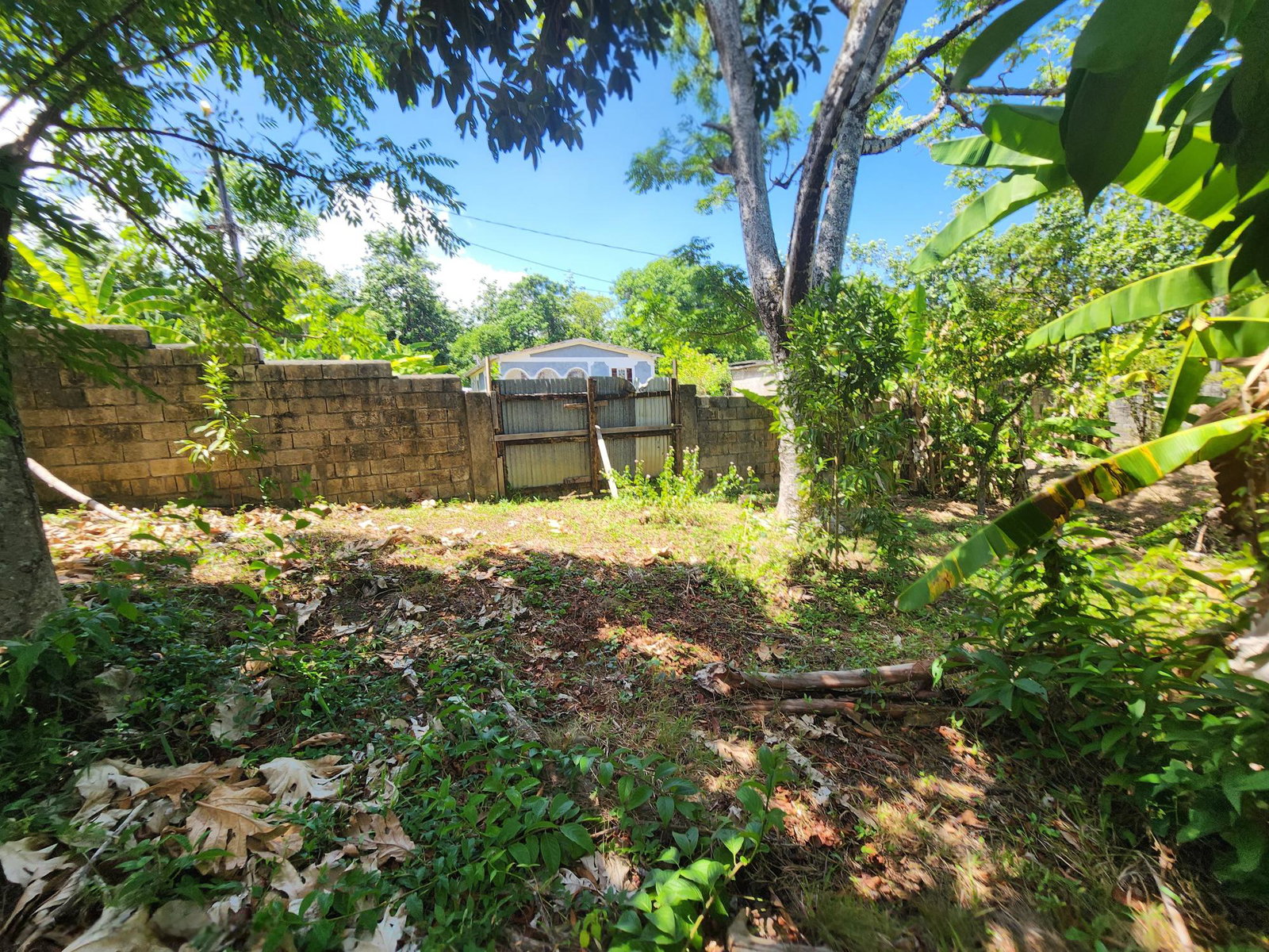 Twenty-Seventh image of 233b Long Road in Manchioneal, Portland, Jamaica - property is For Sale
