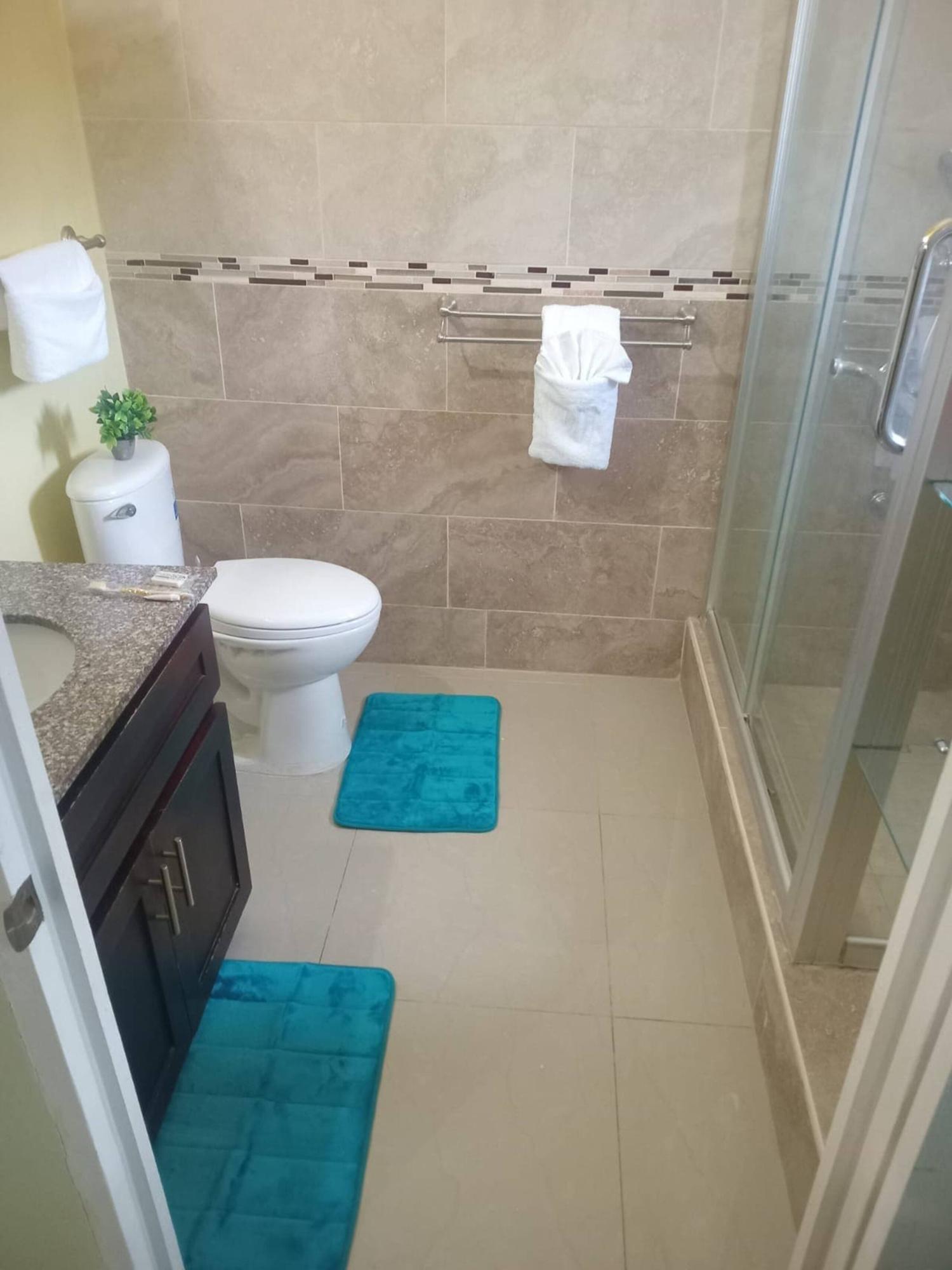 Nineteenth image of Lot 10 Great Pond Estate in Great Pond, St. Ann, Jamaica - property is For Rent