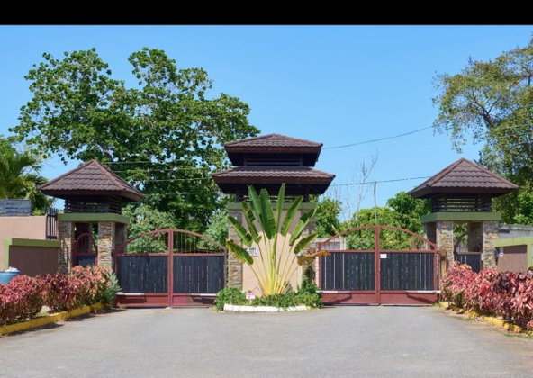 Second image of Lot 10 Great Pond Estate in Great Pond, St. Ann, Jamaica - property is For Rent