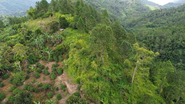 Third image of Wray Piece, Spring Hill in Spring Hill, Portland, Jamaica - property is For Sale