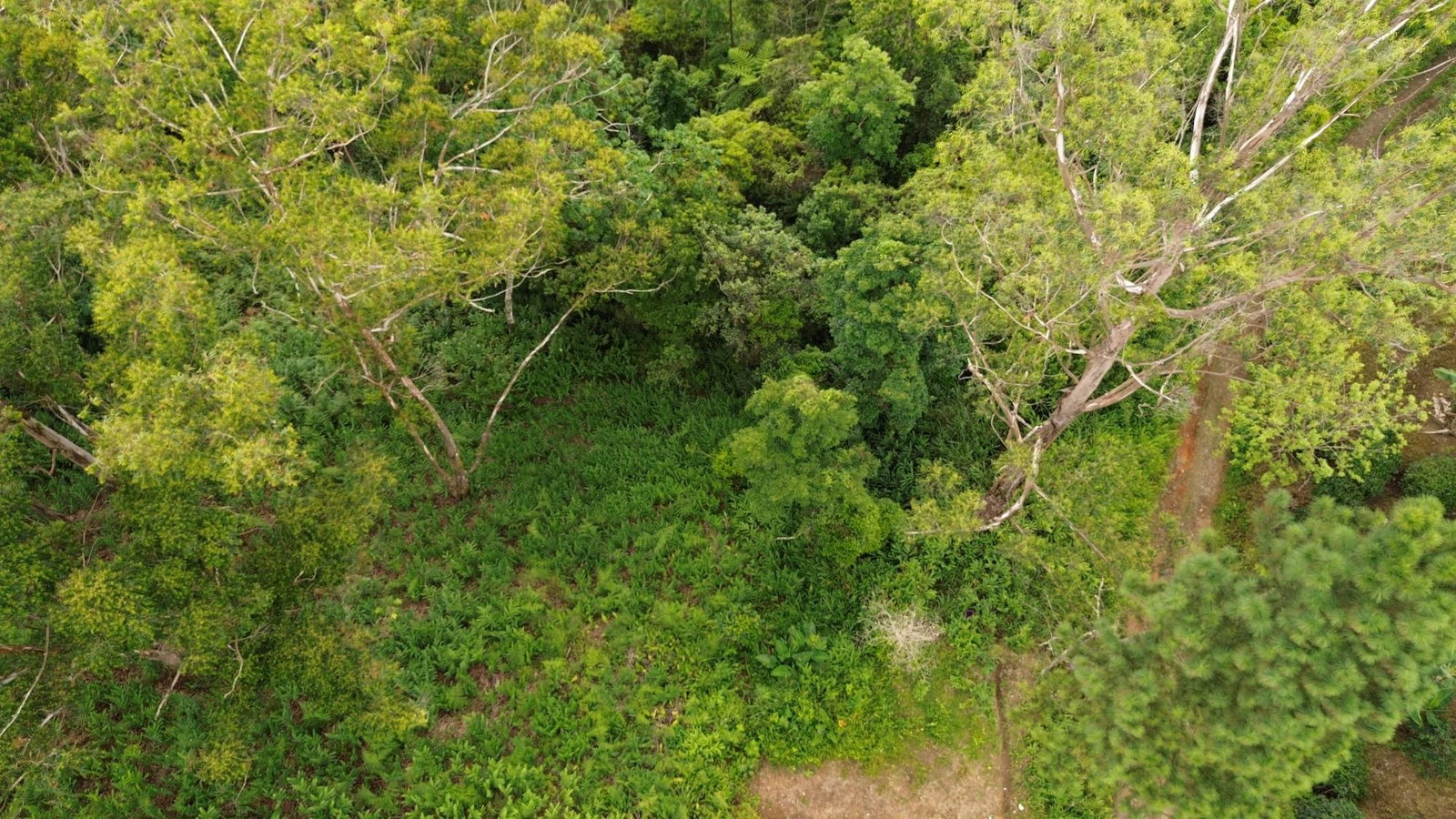 Fifth image of Wray Piece, Spring Hill in Spring Hill, Portland, Jamaica - property is For Sale