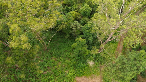 Fifth image of Wray Piece, Spring Hill in Spring Hill, Portland, Jamaica - property is For Sale