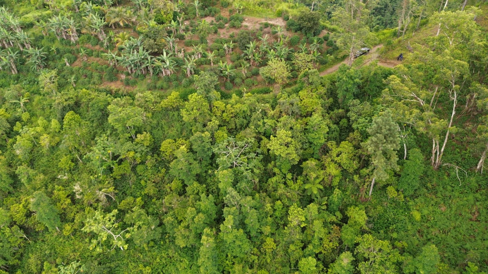 Sixth image of Wray Piece, Spring Hill in Spring Hill, Portland, Jamaica - property is For Sale