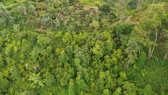 Sixth image of Wray Piece, Spring Hill in Spring Hill, Portland, Jamaica - property is For Sale