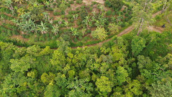 Seventh image of Wray Piece, Spring Hill in Spring Hill, Portland, Jamaica - property is For Sale