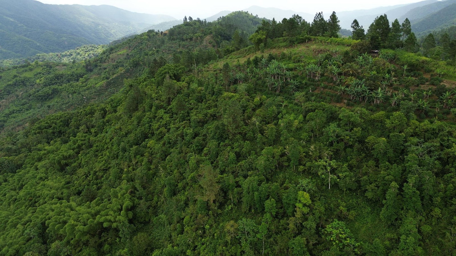 Eighth image of Wray Piece, Spring Hill in Spring Hill, Portland, Jamaica - property is For Sale