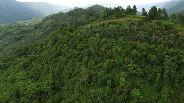 Eighth image of Wray Piece, Spring Hill in Spring Hill, Portland, Jamaica - property is For Sale