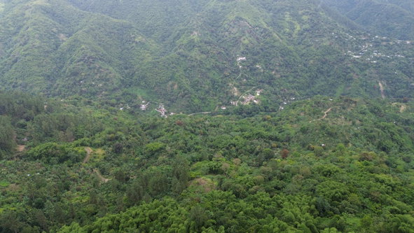 Ninth image of Wray Piece, Spring Hill in Spring Hill, Portland, Jamaica - property is For Sale
