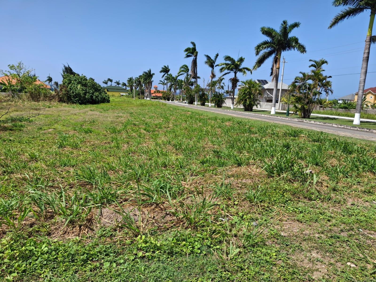 Fifth image of 65 Guava Street in Plantation Village, St. Ann, Jamaica - property is For Sale