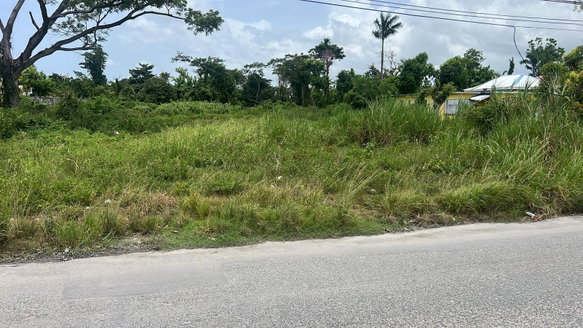 First image of 1-2 Torrington Strathbogie in SAVANNA LA MAR, Westmoreland, Jamaica - property is For Sale