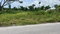 First image of 1-2 Torrington Strathbogie in SAVANNA LA MAR, Westmoreland, Jamaica - property is For Sale