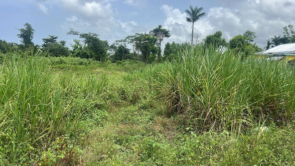 Fourth image of 1-2 Torrington Strathbogie in SAVANNA LA MAR, Westmoreland, Jamaica - property is For Sale