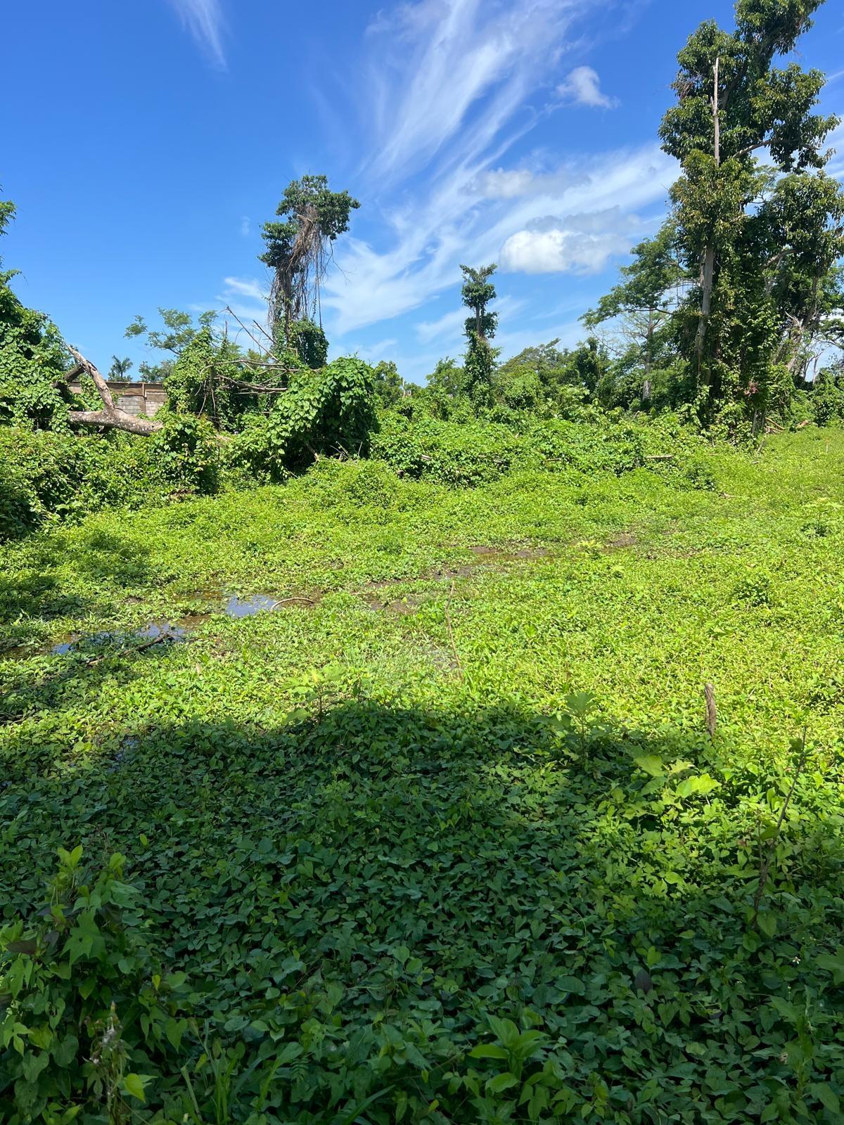 Seventh image of 1-2 Torrington Strathbogie in SAVANNA LA MAR, Westmoreland, Jamaica - property is For Sale