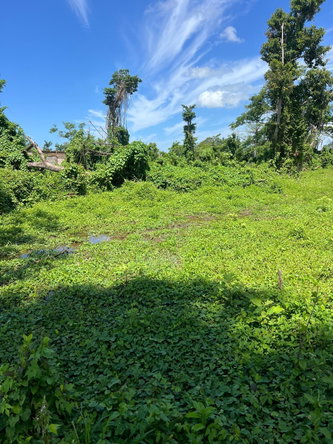 Seventh image of 1-2 Torrington Strathbogie in SAVANNA LA MAR, Westmoreland, Jamaica - property is For Sale