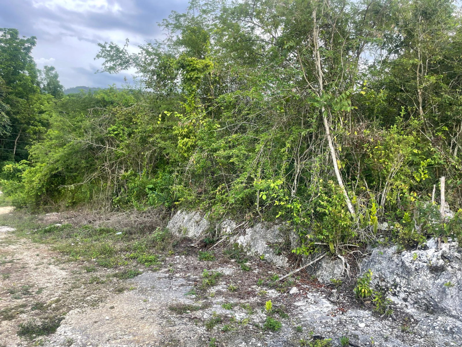 Second image of 31 Charlton, Ewartion, in Ewarton, St. Catherine, Jamaica - property is For Sale