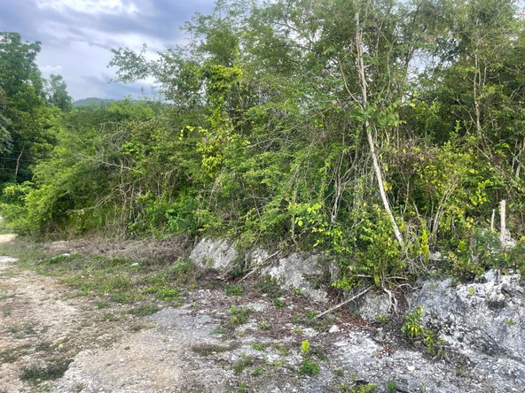 Second image of 31 Charlton, Ewartion, in Ewarton, St. Catherine, Jamaica - property is For Sale