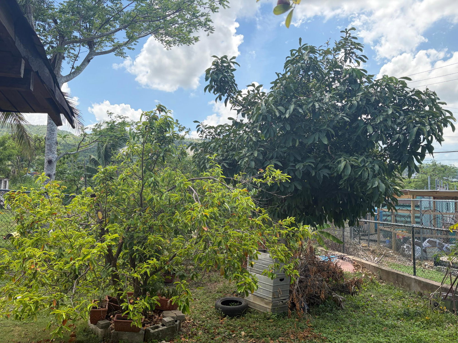 Twenty-Ninth image of Apt #1-681 Tide Place, Bogue Village in Montego Bay, St. James, Jamaica - property is For Rent