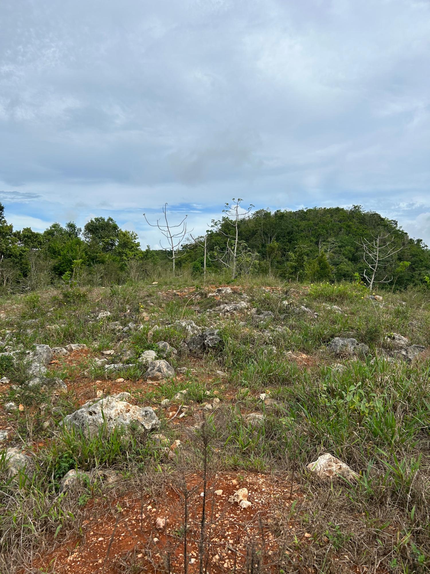 Third image of 5b-5b Watson Close, Redbank Hat in Hatfield, Manchester, Jamaica - property is For Sale