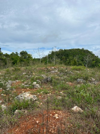 Third image of 5b-5b Watson Close, Redbank Hat in Hatfield, Manchester, Jamaica - property is For Sale
