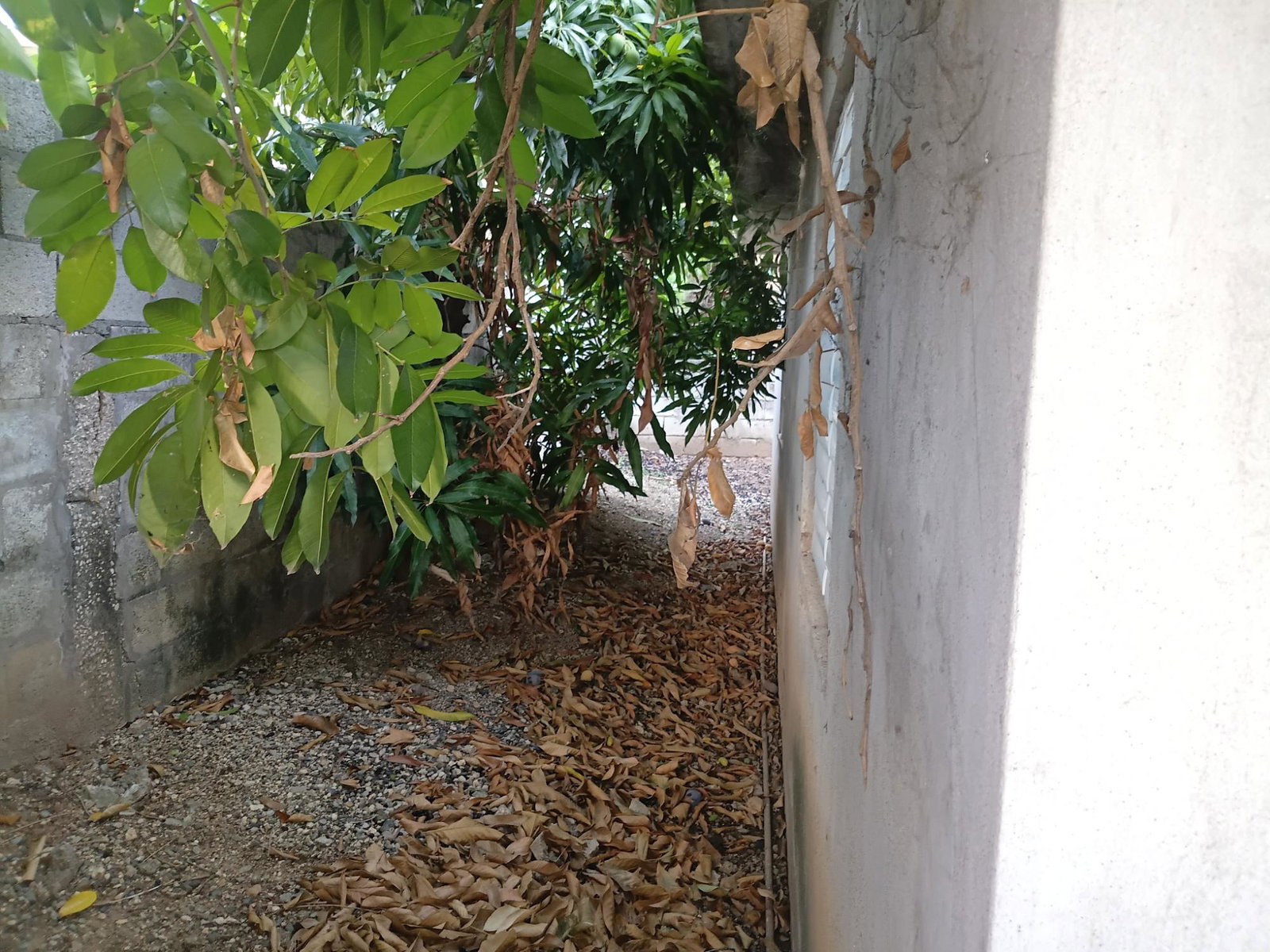 Fifth image of 486 9th Avenue, Eltham Acres in Spanish Town, St. Catherine, Jamaica - property is For Sale