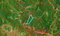 First image of 23 Content Pen, Lime Hall in Lime Hall, St. Ann, Jamaica - property is For Sale