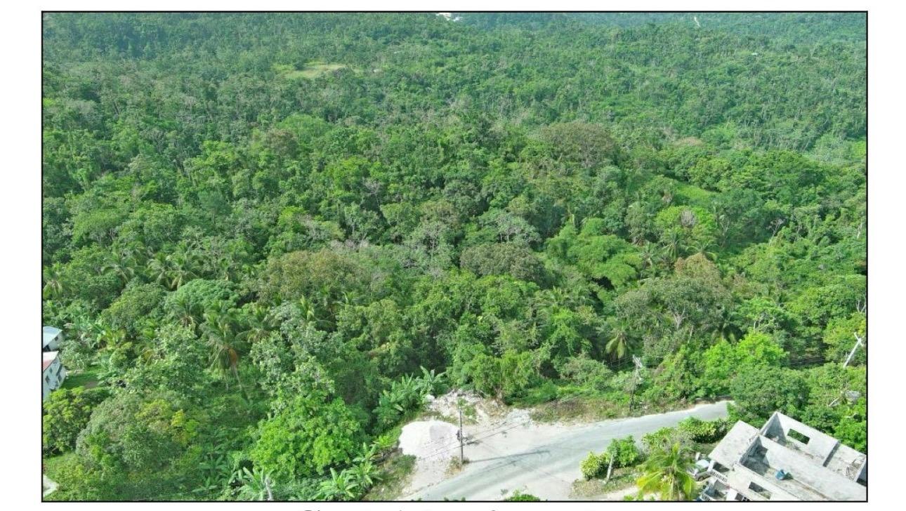Twelfth image of 23 Content Pen, Lime Hall in Lime Hall, St. Ann, Jamaica - property is For Sale