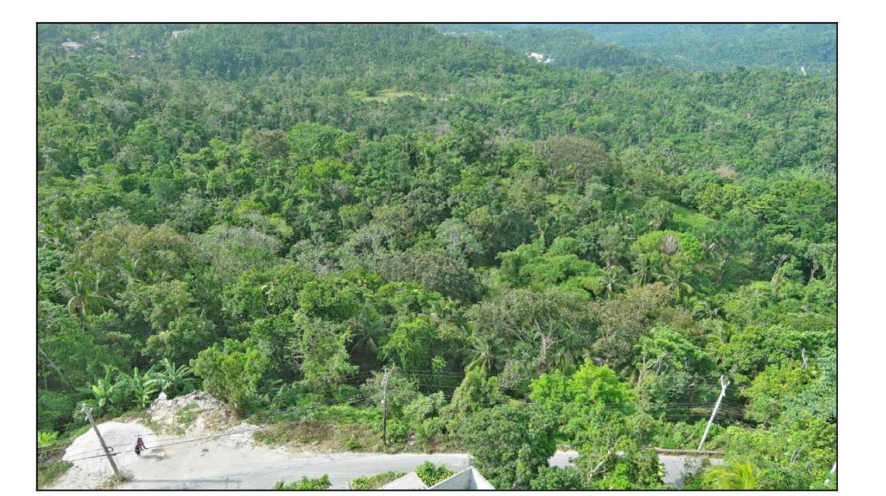 Third image of 23 Content Pen, Lime Hall in Lime Hall, St. Ann, Jamaica - property is For Sale