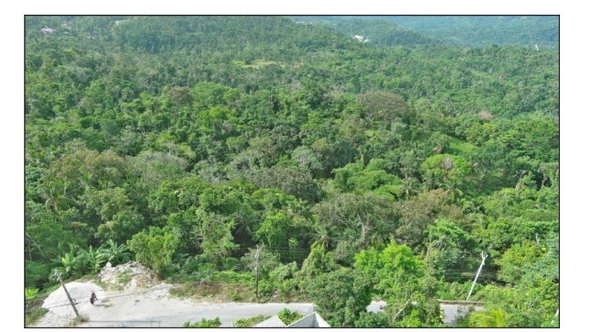 Third image of 23 Content Pen, Lime Hall in Lime Hall, St. Ann, Jamaica - property is For Sale