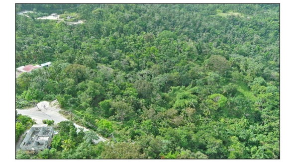 Fourth image of 23 Content Pen, Lime Hall in Lime Hall, St. Ann, Jamaica - property is For Sale