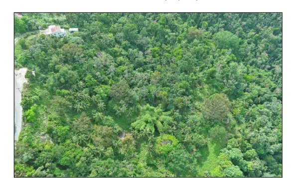 Fifth image of 23 Content Pen, Lime Hall in Lime Hall, St. Ann, Jamaica - property is For Sale