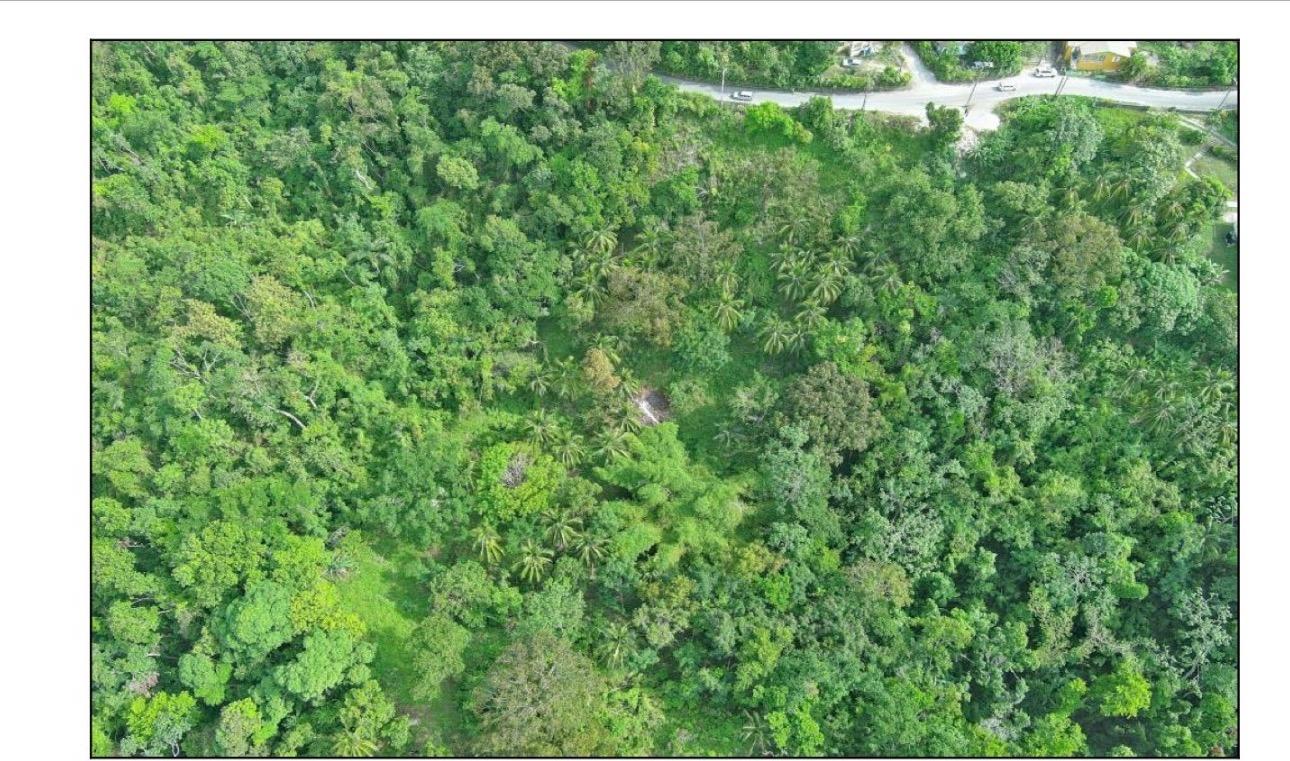 Sixth image of 23 Content Pen, Lime Hall in Lime Hall, St. Ann, Jamaica - property is For Sale