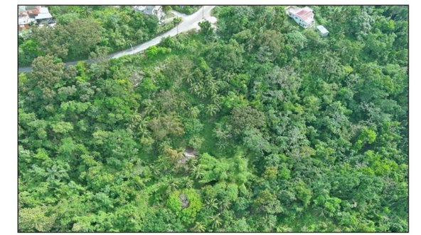 Seventh image of 23 Content Pen, Lime Hall in Lime Hall, St. Ann, Jamaica - property is For Sale