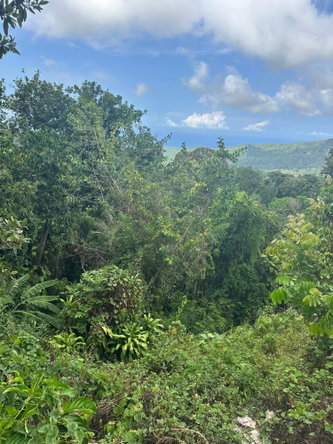 Ninth image of 23 Content Pen, Lime Hall in Lime Hall, St. Ann, Jamaica - property is For Sale