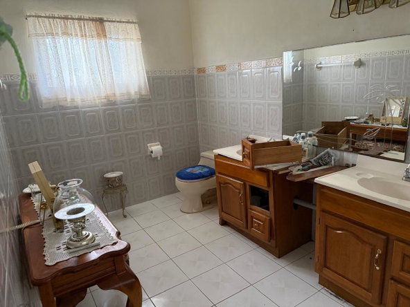 Seventeenth image of Lot 35 pt of Sedburg & Hopewell in Sedburgh, Manchester, Jamaica - property is For Sale